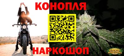 гашик Бийск
