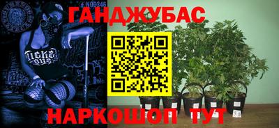 гашик Бийск