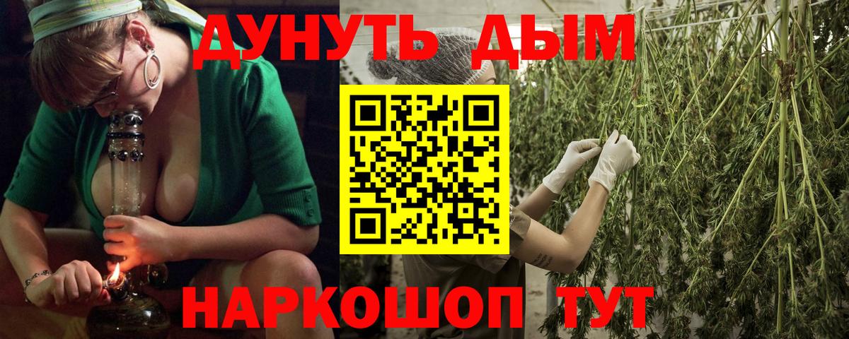 Бошки марихуана SATIVA & INDICA Карачаевск